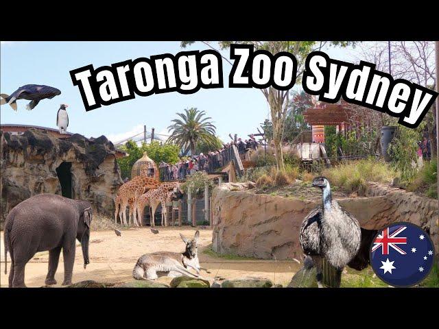 2024 Taronga Zoo Sydney Tour