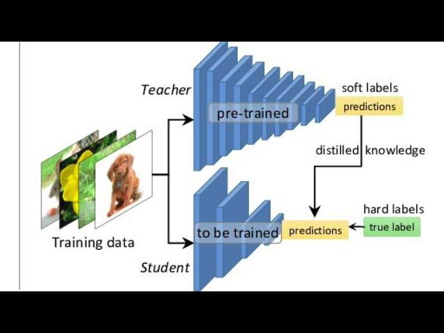 Knowledge Distillation in Deep Learning - DistilBERT Explained