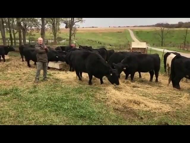 Virtual Field Trip to an Ohio Beef Farm - Craig Corry - October 23rd