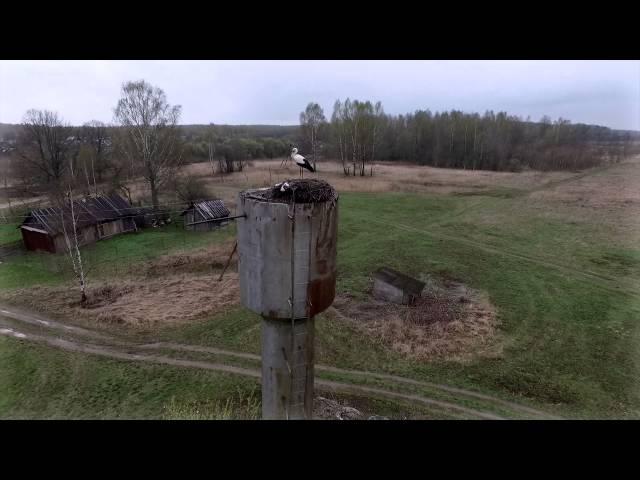 Вот моя деревня, вот мой дом родной ....