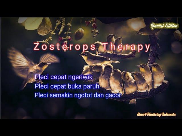 Smart Mastering - Zosterops Therapy (khusus burung pleci)