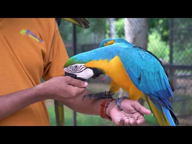 Bird Park, Hambantota