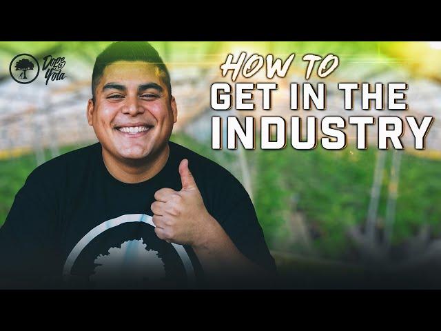 How To Get In The INDUSTRY