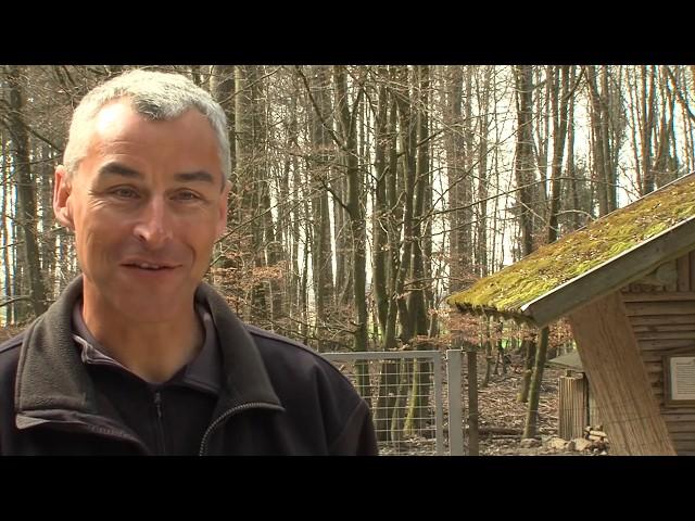 2014: Bad Waldsee - Wildtiergehe im Tannenbühl