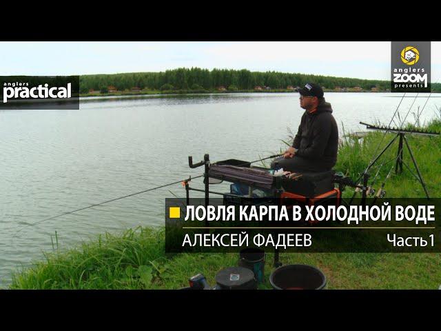 Ловля карпа в холодной воде. Алексей Фадеев.  Часть 1. Anglers Practical