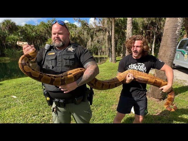 10FT Boa Constrictor! COPS CALLED!