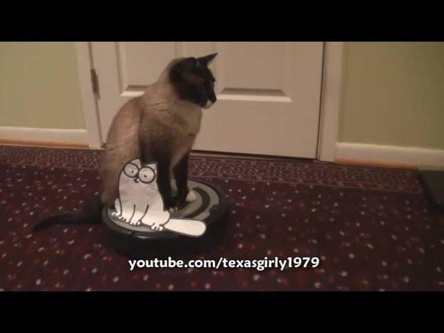 2 iRobot ROomba CATS! Simon's Cat VS. Roomba Cat Max-Arthur