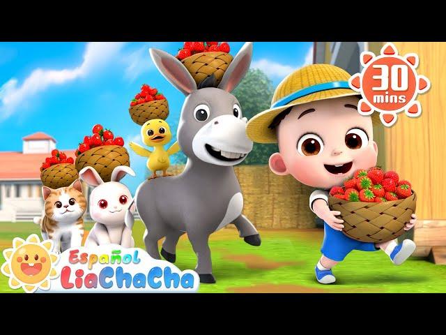 Camino Camino | Canción de la Granja | LiaChaCha en Español - Canciones Infantiles