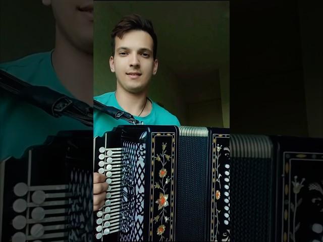 Только стоя и даюся #гармонь #частушка #песниподгармонь #страдания #наигрыши