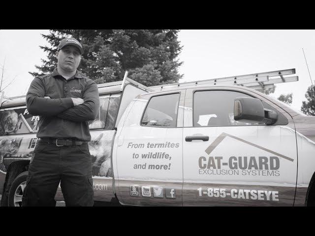 Wildlife Exclusion That's Rock Solid: Cat-Guard Commercial