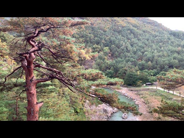 수려한 경관을 지닌 산악자연과 청정 해안, 울진군