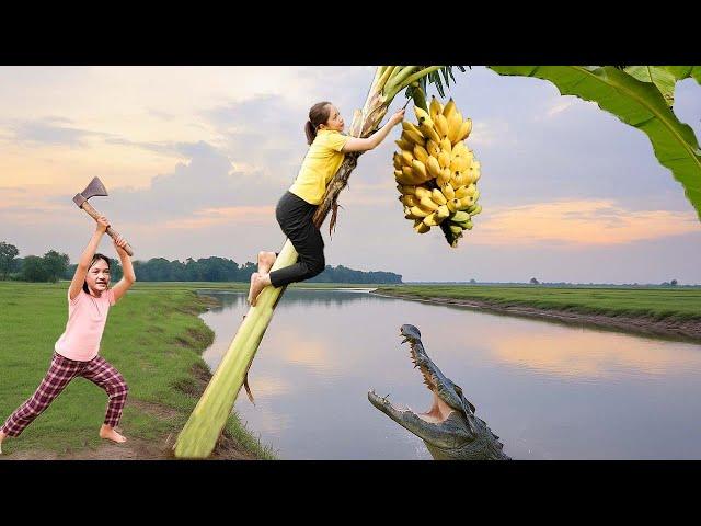 Harvest 100kg of Banana & Goes to market Sell | Harvesting Jackfruit on a tree 1000 meters high