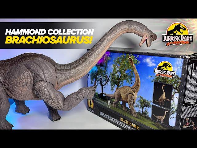 NEW BRACHIOSAURUS! Hammond Collection Brachiosaurus Review