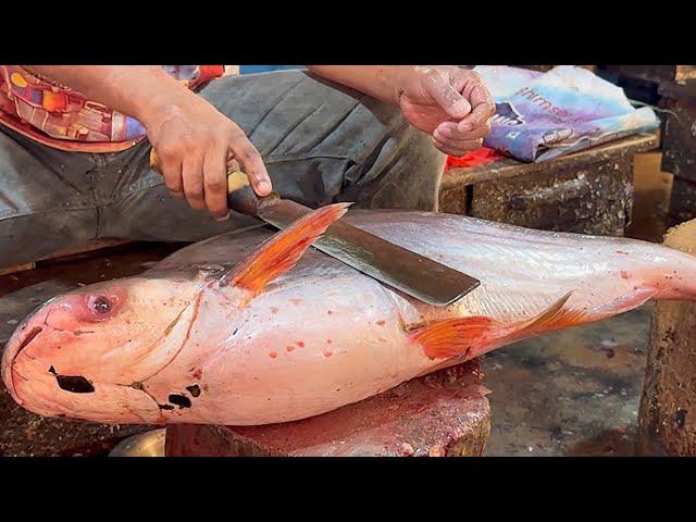 Giant Pangas Fish Cutting Skills Live || Amazing Pangas Fish Cutting Skills In Bangladesh