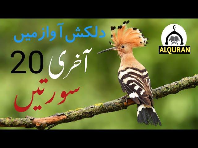 last 20 surah of quran/ quran beautiful recitation/quran best voice last 20 surah۔