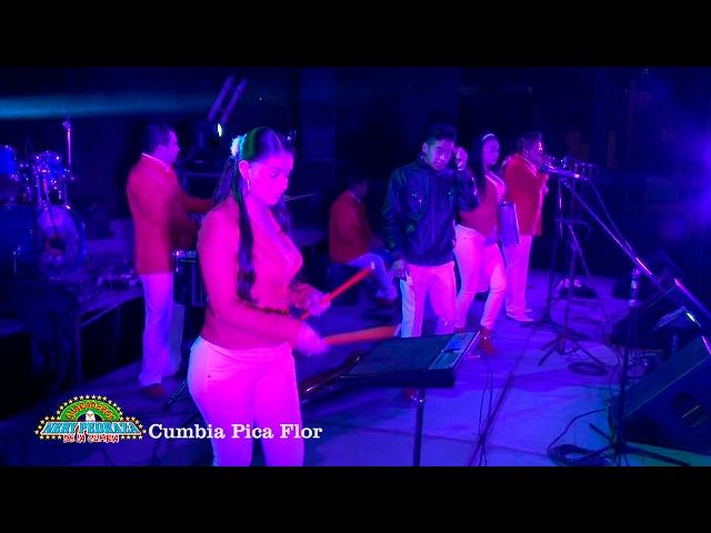 Nery Pedraza y los Guaraperos de la Cumbia  Cumbia Pica Flor