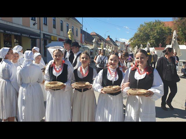 Vinkovci Autumn Festival 2022: The Main Parade - Pride and Diversity