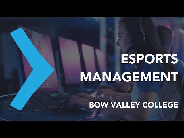 ESTUDE ESPORTS MANAGEMENT NO BOW VALLEY COLLEGE EM CALGARY #bowvalleycollege #alberta #calgary