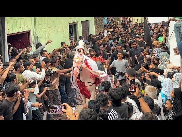 Live 28 Safar | Zuljanah Baramad Video | Chelum-e-Imam Hussain | Zainpur Jhanjheri | 2024/1446 Hijri