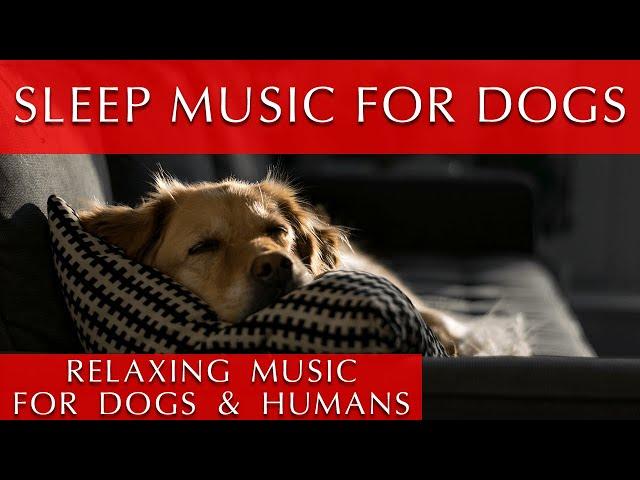 Relaxing Music for Dogs and Humans to Sleep To | 432Hz Meditation Music