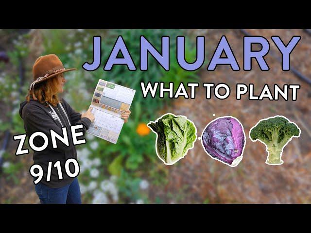 What to Plant in January: Kickstart Your Garden This Year!