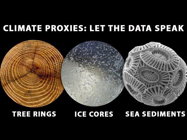 With Tree Rings On Their Fingers