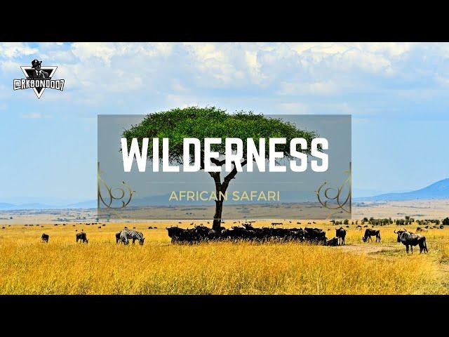 A Journey Into the Wilderness - A Walkthrough of the African Jungles