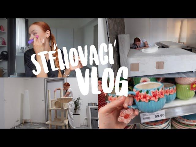 Stěhovací vlog | nová sedačka, Action haul