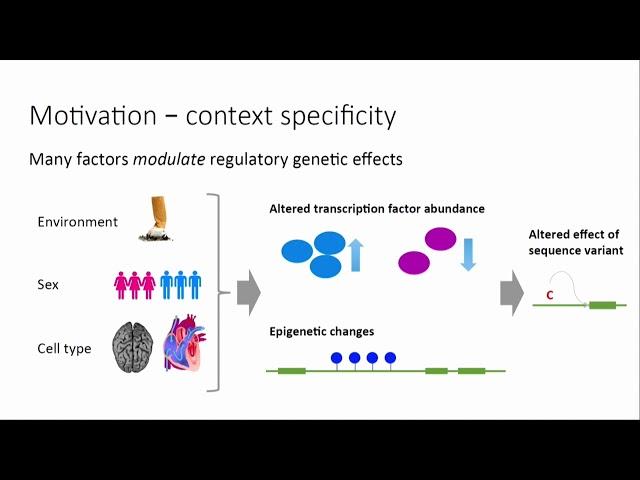 E04.1 Using expression data to understand the genetics of disease