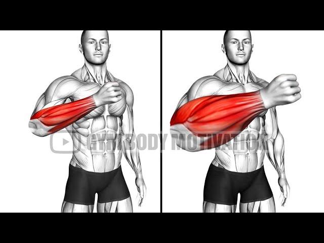 5 Min At Home Workout to Improve Your Forearms