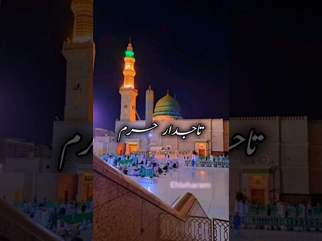 Tajdara Haram new edit #tajdareharam #fyp #newnaat #shorts #vip #today