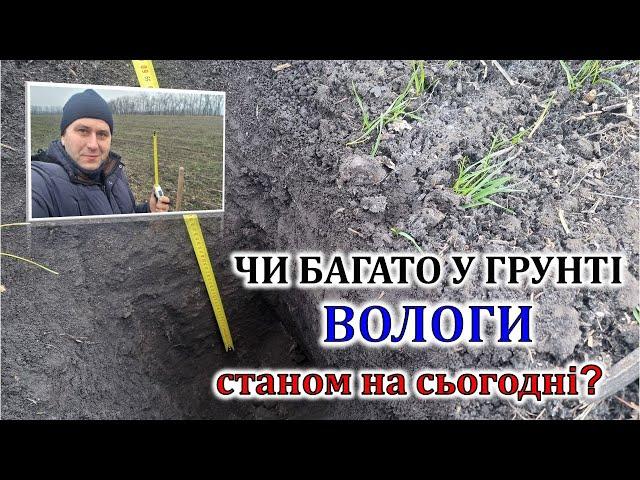 Чи багато вологи у ґрунті станом на сьогодні?