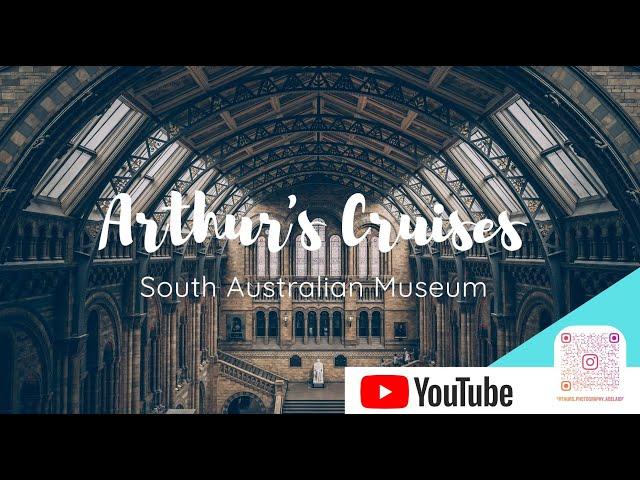 South Australian Museum Tour