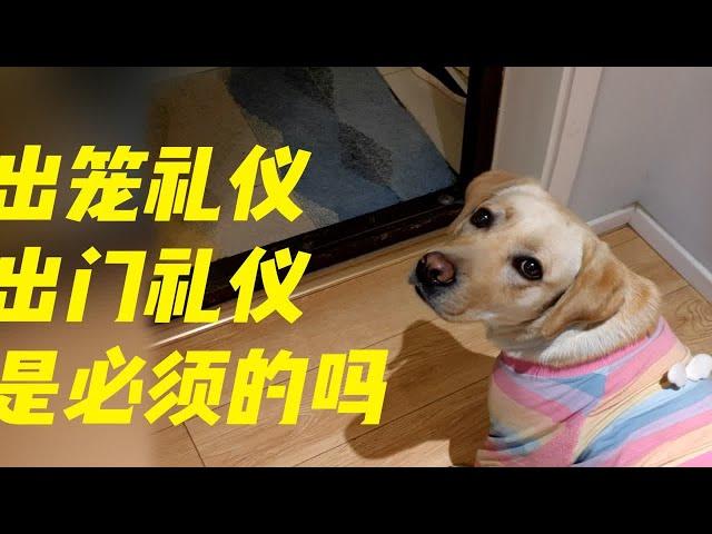 狗狗的出笼礼仪和出门礼仪是必须的吗？（宾宾聊训犬11）