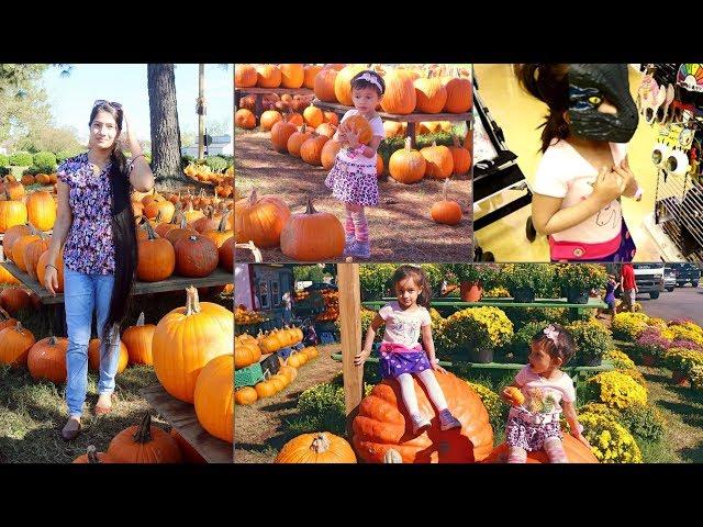 Pumpkin and Halloween Costume Hunting | Mytwolittlesunshines