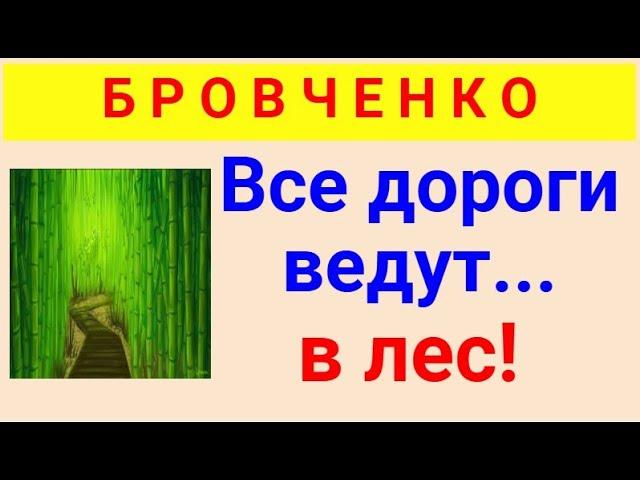 Бровченко.  Обзор влогов. 22 04 2025 Бровченко