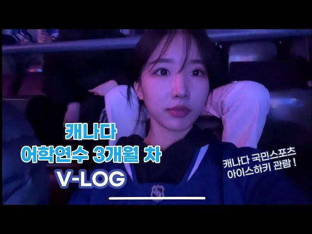 캐나다 어학연수 준비부터 현지 브이로그까지! 영어실력이 안늘 수가 없는 캐나다 일상 대공개