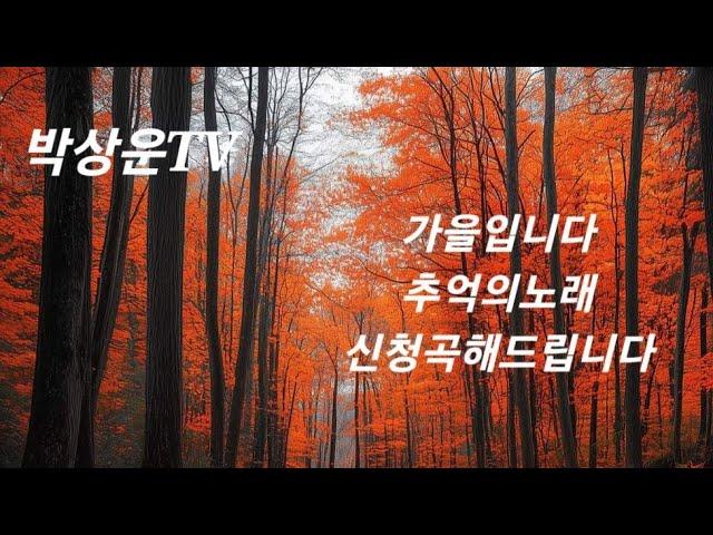 박상운TV라이브2024년 10월25일 #인생맥주님 #각시님 #안부전합니다