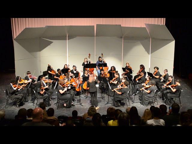 NWSA Chamber Orchestra - MPA - March Slav 3/6/2018