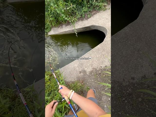 I can’t believe this ACTUALLY worked! #fishing #shorts