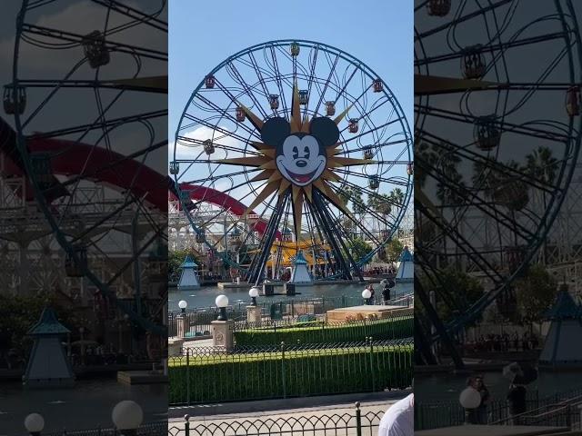 CRAZY Ferris Wheel at Disneyland  #disney #disneyland #ferriswheel #rides