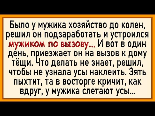 Как зять мужем на час подрабатывал! Сборник свежих анекдотов! Юмор!