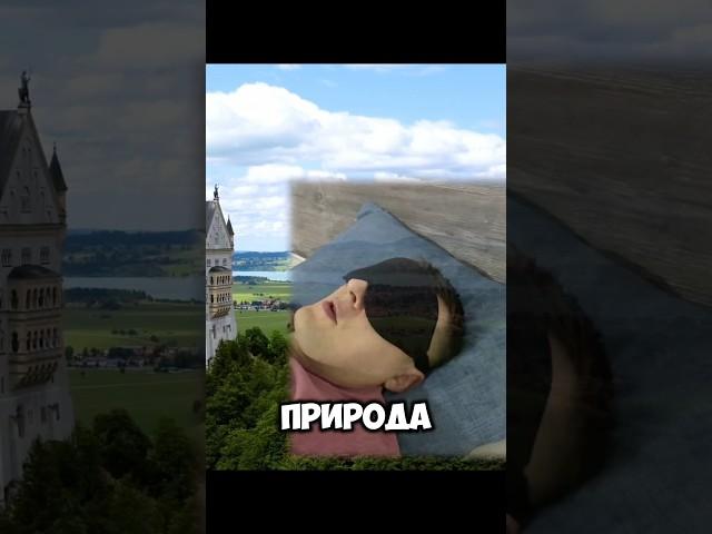 СЕКРЕТЫ ПАМЯТИ #мозг #психология #энергоинформационный #энергия #сознание #подсознание #любовь #душа