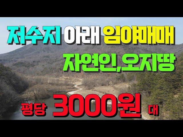 산속계곡물 철철~임야매매 평당3000원대! 일부 앞쪽 준보전산지 ~전기기본거리 조용한나홀로 자연인 할수 있는~평당3800원 15741평 경북 안동 임야매물 세상사는 부동산