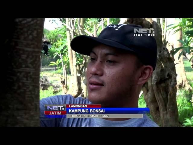 NET JATIM - Kampung Bonsai di Lamongan