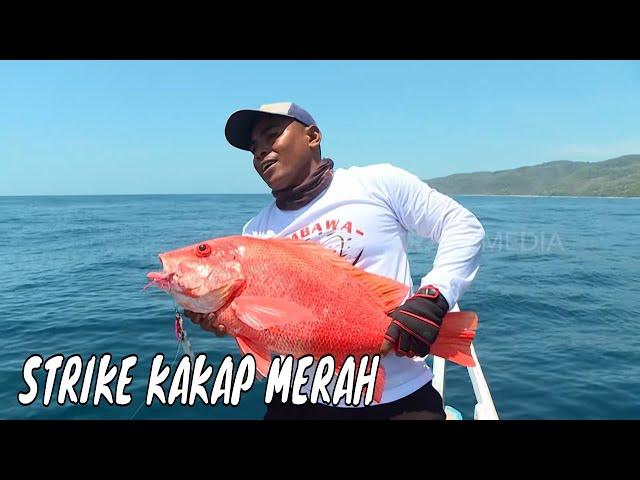 Menaklukkan Kakap Merah & Kurisi  di Laut Selatan Bima | MANCING MANIA STRIKE BACK (17/11/24) Part 1