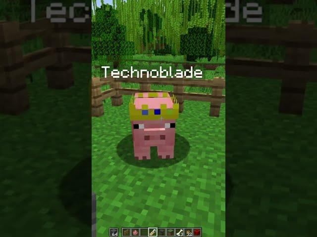 Technoblade Never Dies  #shorts #minecraft #minecraftshorts #technoblade #technobladeneverdies