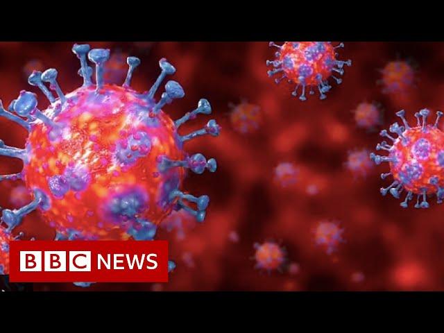 Coronavirus explained in 60 seconds - BBC News