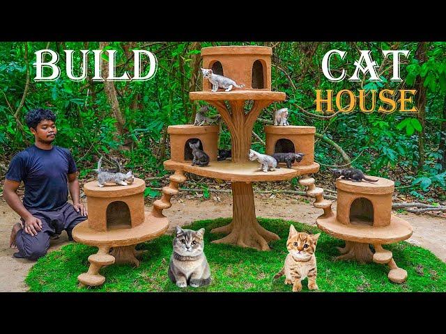 Building a Cat House for a Rescued Kitten - Heartwarming Transformation