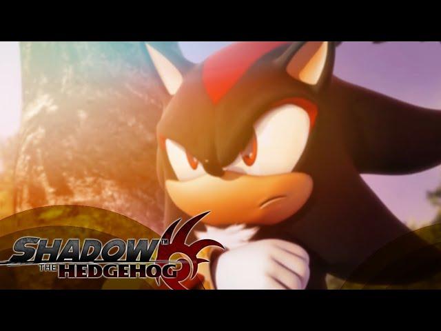 Выбор стороны за тобой! | Shadow the Hedgehog